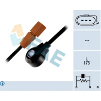 Detonācijas sensors