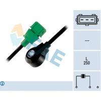 Detonācijas sensors