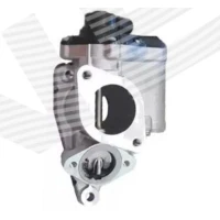 Egr valve