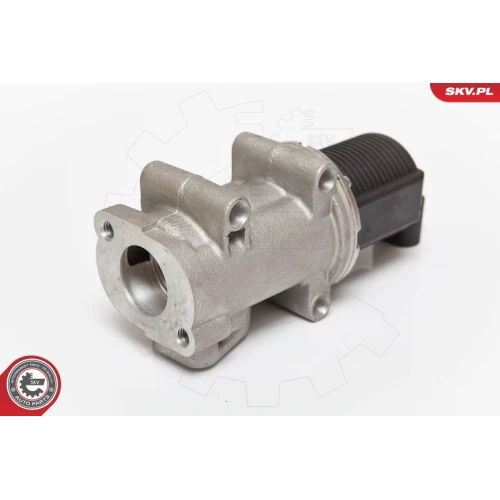 EGR VALVE - 4