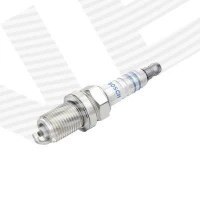 Spark plug