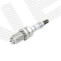 Spark plug