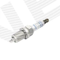 Spark plug