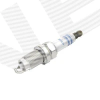 Spark plug