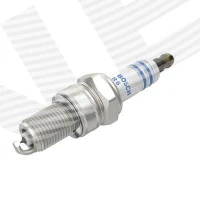 Spark plug