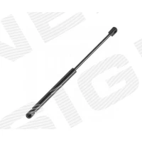 Bonnet gas spring