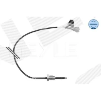 Exhaust gas temperature sensor