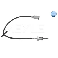 Exhaust gas temperature sensor