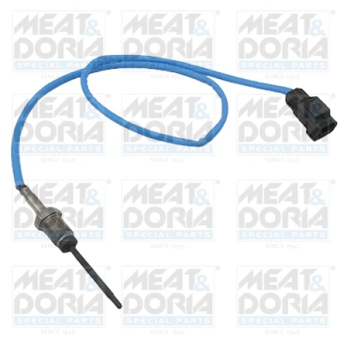 EXHAUST GAS TEMPERATURE SENSOR - 0