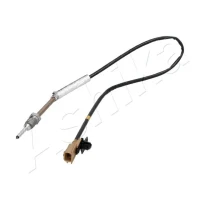 Exhaust gas temperature sensor