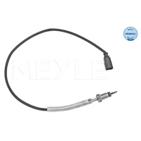 Exhaust gas temperature sensor