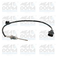 Exhaust gas temperature sensor