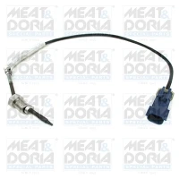 Exhaust gas temperature sensor