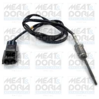 Exhaust gas temperature sensor