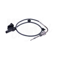 Exhaust gas temperature sensor