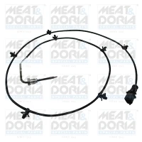 Exhaust gas temperature sensor