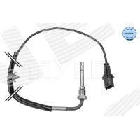 Exhaust gas temperature sensor