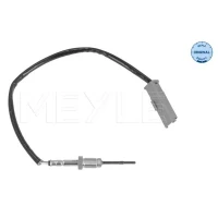 Exhaust gas temperature sensor