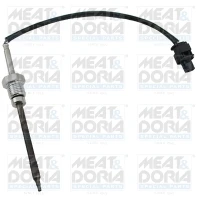 EXHAUST GAS TEMPERATURE SENSOR