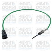 Exhaust gas temperature sensor