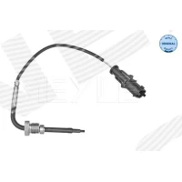 Exhaust gas temperature sensor