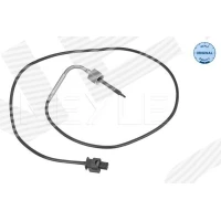 Exhaust gas temperature sensor