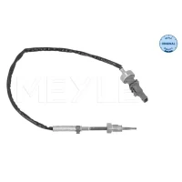 Exhaust gas temperature sensor