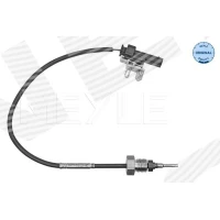 Exhaust gas temperature sensor