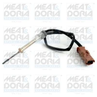 Exhaust gas temperature sensor