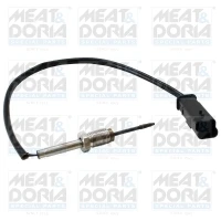 EXHAUST GAS TEMPERATURE SENSOR