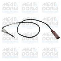 Exhaust gas temperature sensor