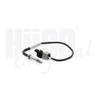 Exhaust gas temperature sensor