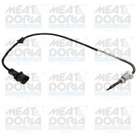 Exhaust gas temperature sensor