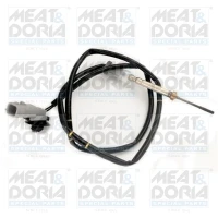 Exhaust gas temperature sensor