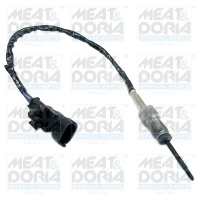 Exhaust gas temperature sensor