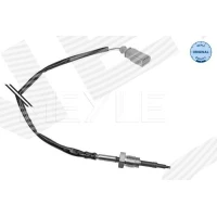 Exhaust gas temperature sensor