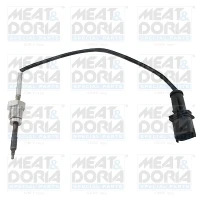 EXHAUST GAS TEMPERATURE SENSOR