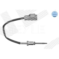 Exhaust gas temperature sensor