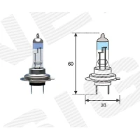 H7 bulb