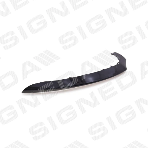 FRONT BUMPER GRILLE STRIP - 2