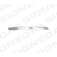 Front bumper grille strip