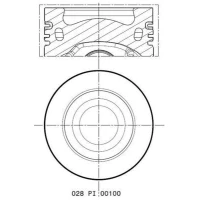 Piston