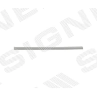 Front bumper grille strip