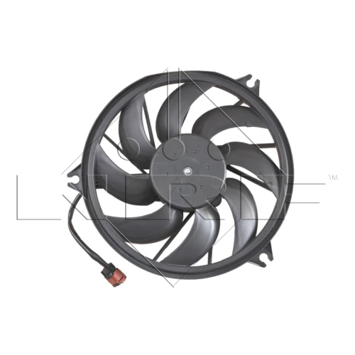 FAN - 1