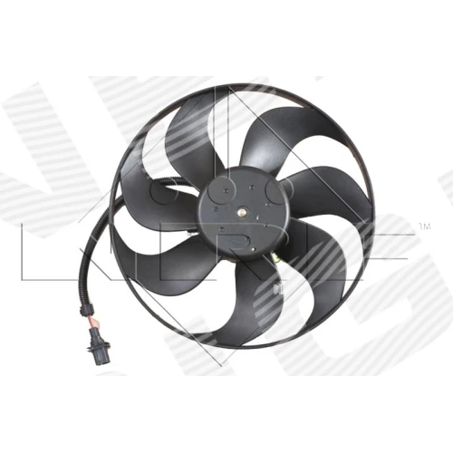 FAN - 1