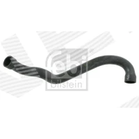 Radiator hose