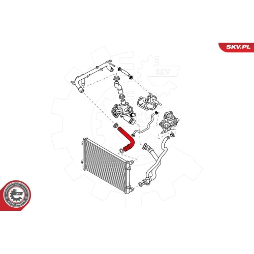 RADIATOR HOSE - 3