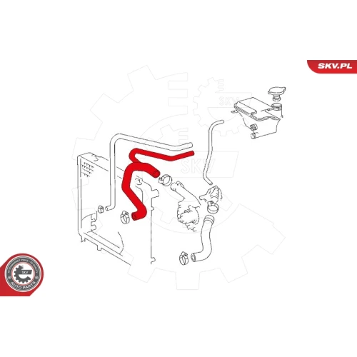 RADIATOR HOSE - 3