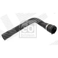 Radiator hose