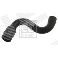 Radiator hose